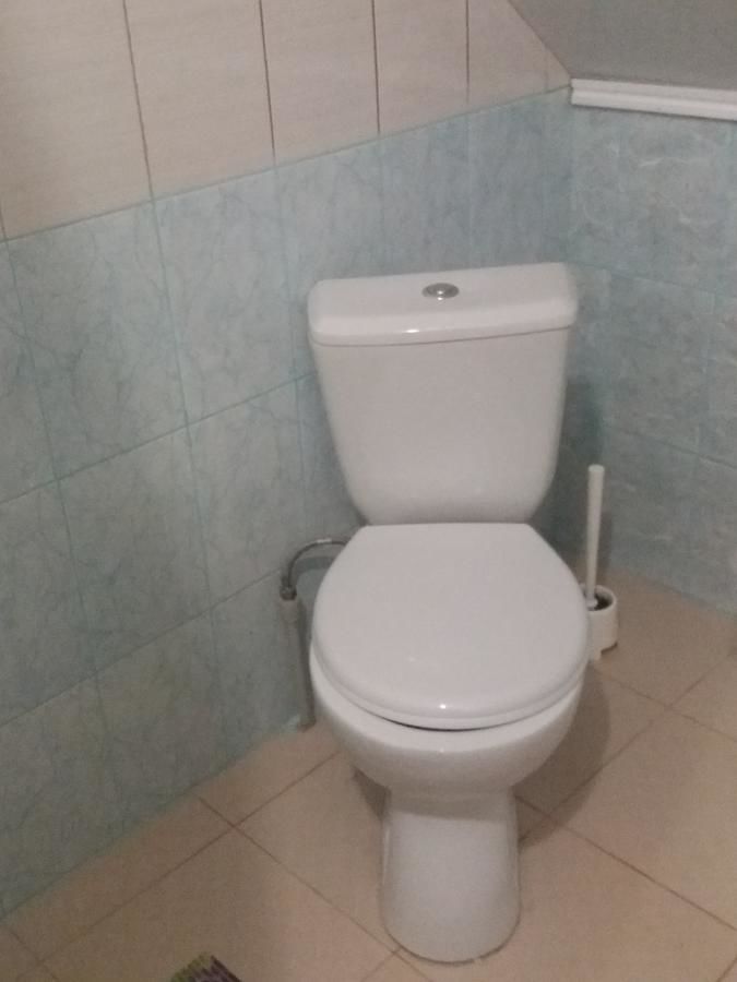 Дома для отпуска Aurelia Guest House Гагра