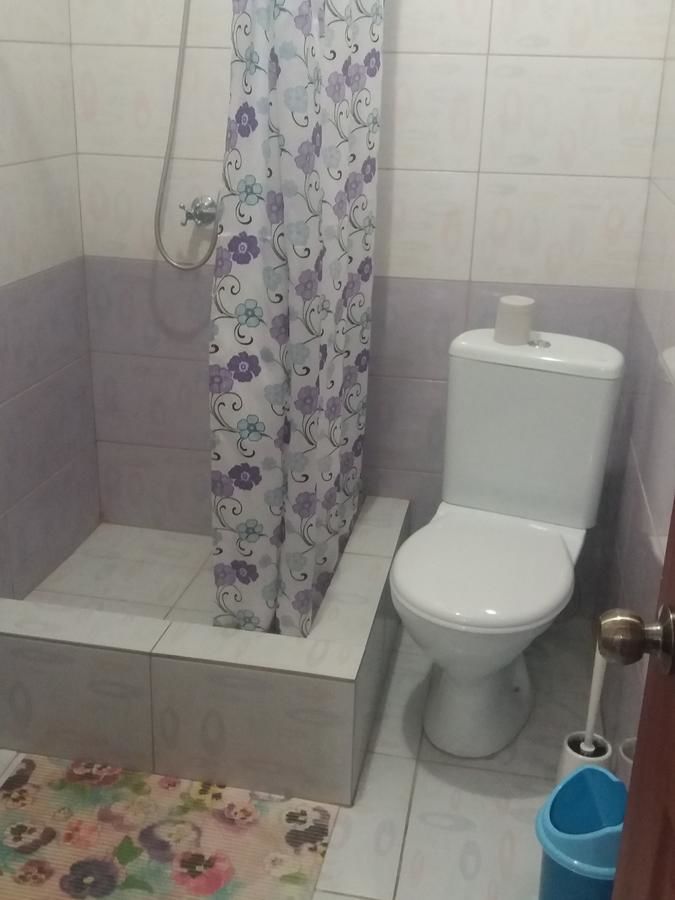 Дома для отпуска Aurelia Guest House Гагра