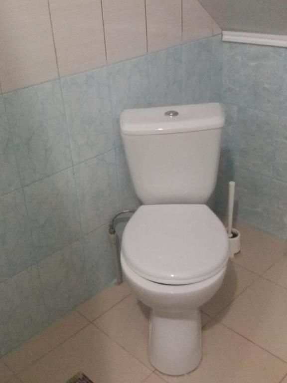 Дома для отпуска Aurelia Guest House Гагра