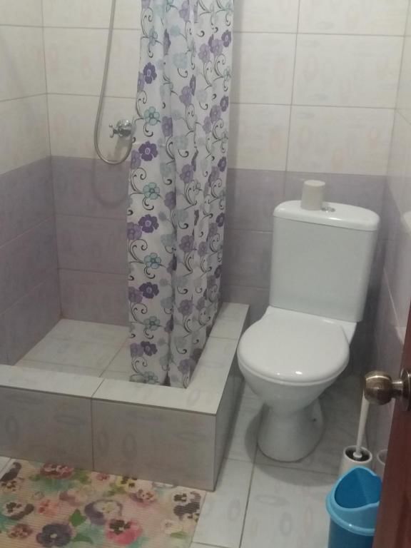 Дома для отпуска Aurelia Guest House Гагра